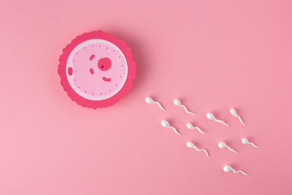 clinica de fertilidad en jerez